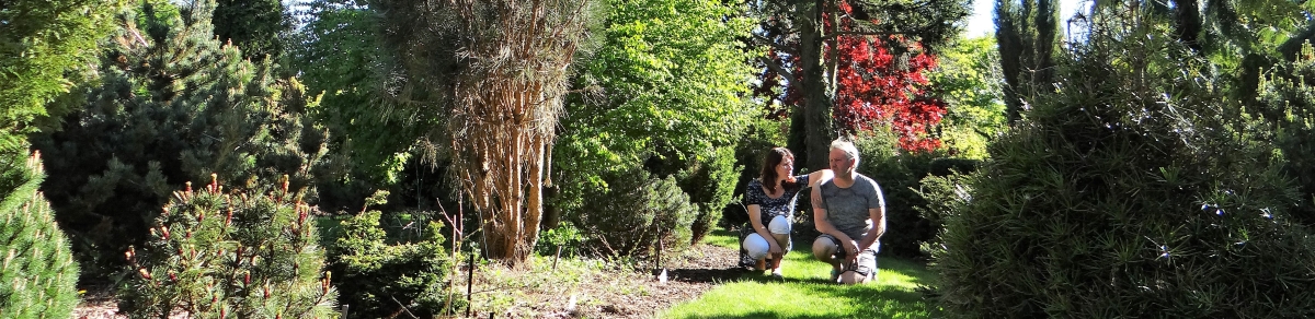 Les jardins du Florilège à Bastogne, arboretum, plantes rares, collections, boutique en ligne