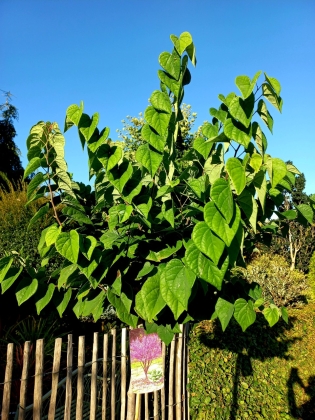 Les jardins du Florilège à Bastogne (Belgique) - 10/2025