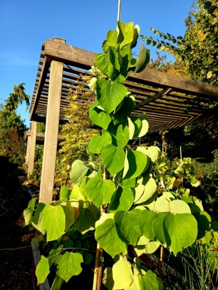 Les jardins du Florilège à Bastogne (Belgique) - 10/2025