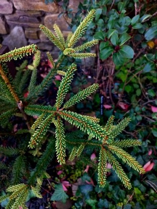 Les jardins du Florilège à Bastogne (Belgique) - 09/2025