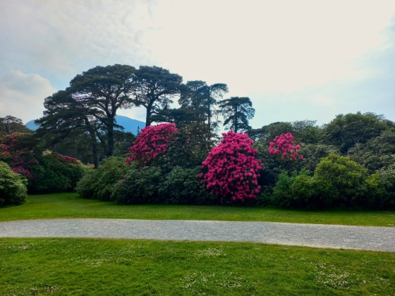 Muckross House (Killarney) Irlande - 05/2025